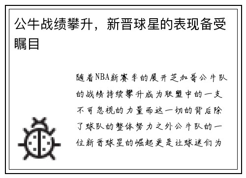 公牛战绩攀升，新晋球星的表现备受瞩目